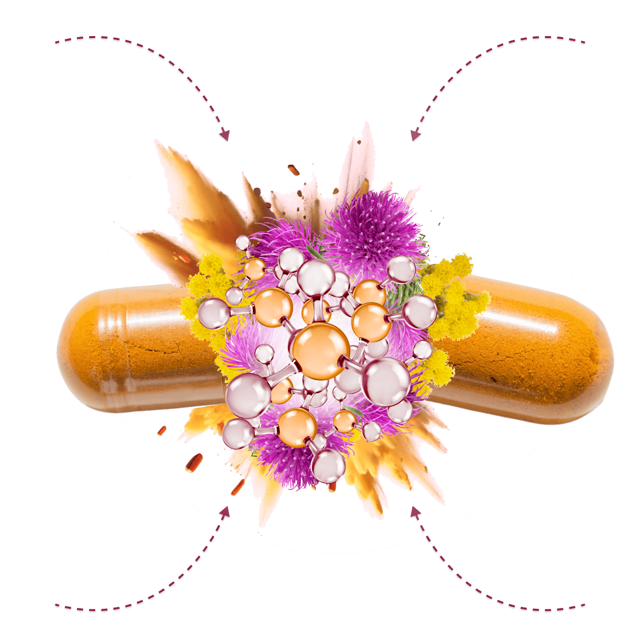 Produktbild – Eine durchsichtige Kapsel mit orangefarbenem Inhalt, umgeben von einer Molekülstruktur, lila Blüten und gelben Pflanzen.