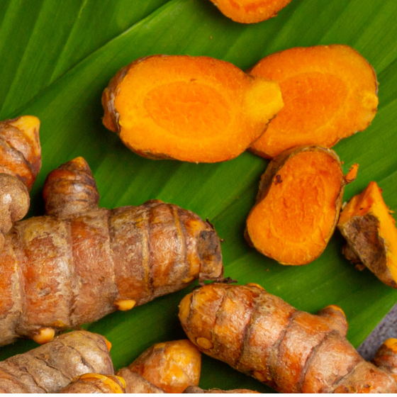 Produktbild – Mehrere frische Kurkumawurzeln und einige angeschnittene, gelb-orangefarbene Kurkumastücke liegen auf einer großen grünen Blattstruktur.