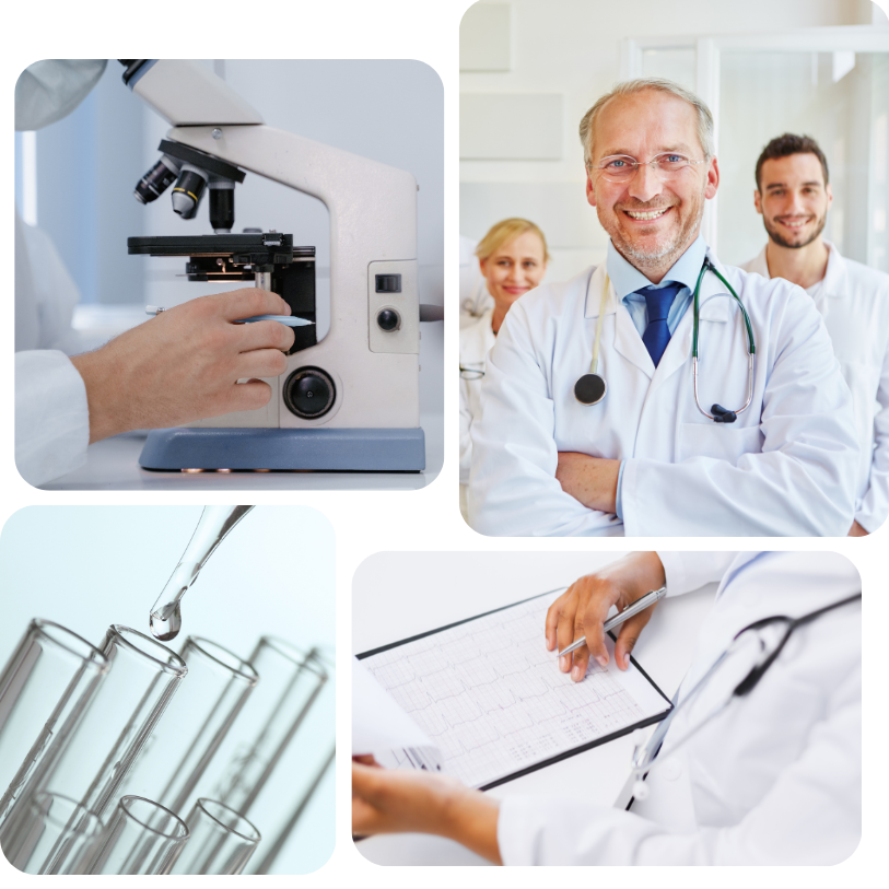 Eine Person in einem weißen Laborkittel benutzt ein Mikroskop.
Beratung – Dr. Thomas Fischer, Chefarzt der Kardiologie, mit zwei weiteren Ärzten im Hintergrund.
Verpackung und Anwendung – Nahaufnahme von Reagenzgläsern, in eines tropft eine Flüssigkeit.
Beratung – Ein Arzt hält eine EKG-Aufzeichnung in der Hand und studiert sie.