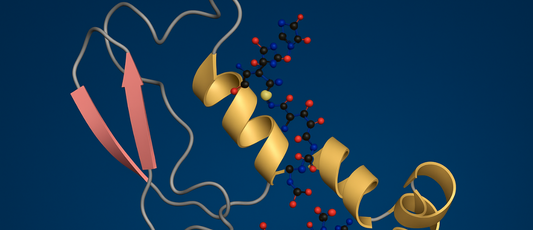 CGRP