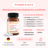 Darmaufbau-Paket