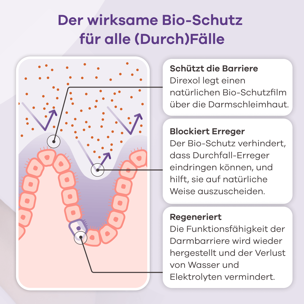 Infografik: Der wirksame Bio-Schutz für alle (Durch)Fälle. Eine Illustration zeigt, wie Direxol einen Bio-Schutzfilm über die Darmschleimhaut legt, der Erreger blockiert und deren Eindringen verhindert. Der Bio-Schutz hilft, Erreger natürlich auszuscheiden. Die Darmbarriere wird regeneriert, um den Verlust von Wasser und Elektrolyten zu vermindern.
