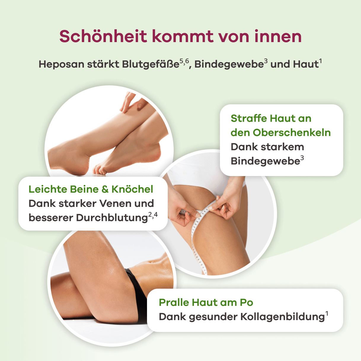 Infografik zum Thema Schönheit von innen. Überschrift: Schönheit kommt von innen. Text: Heposan stärkt Blutgefäße (siehe Quelle 5,6), Bindegewebe (siehe Quelle 3) und Haut (siehe Quelle 1). Daneben drei Bildausschnitte: Leichte Beine und Knöchel Dank starker Venen und besserer Durchblutung (siehe Quelle 2,4), Straffe Haut an den Oberschenkeln Dank starkem Bindegewebe (siehe Quelle 3), Pralle Haut am Po Dank gesunder Kollagenbildung (siehe Quelle 1).