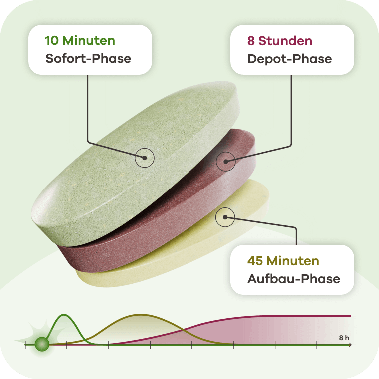 Infografik: Drei geschichtete Tablettenhälften in Grün, Rot und Gelb symbolisieren Wirkphasen. Die grüne Schicht steht für die 10 Minuten Sofort-Phase, die rote für die 8 Stunden Depot-Phase und die gelbe für die 45 Minuten Aufbau-Phase. Unten visualisiert ein Diagramm diese Zeitverläufe über 8 Stunden.