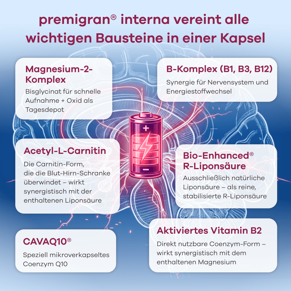 Infografik zu premigran interna vereint alle wichtigen Bausteine in einer Kapsel. Ein Gehirn mit leuchtender Batterie wird von Wirkstoffen umgeben: Magnesium-2-Komplex für Aufnahme und Depot, B-Komplex mit B1, B3 und B12 für Nerven und Energiestoffwechsel, Acetyl-L-Carnitin für die Blut-Hirn-Schranke, Bio-Enhanced R-Liponsäure, CAVAQ10 sowie aktiviertes Vitamin B2 für Synergie mit Magnesium.
