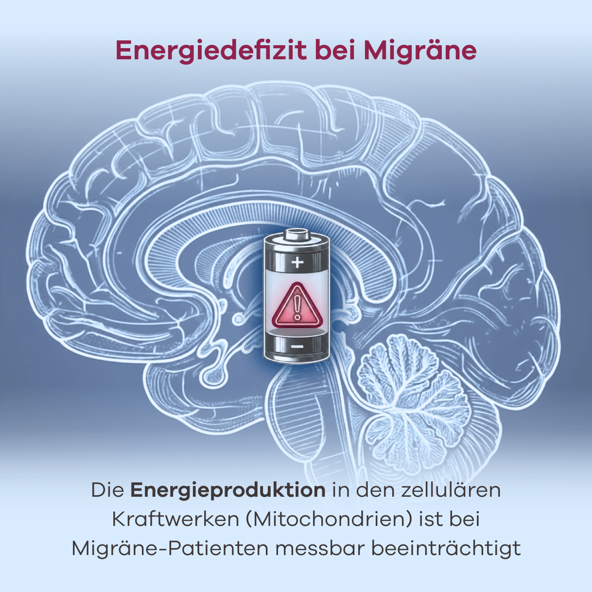 Infografik. Energiedefizit bei Migräne. Eine schematische Darstellung eines menschlichen Gehirns zeigt im Zentrum eine fast leere Batterie mit einem roten Warnsymbol. Der Begleittext erläutert, dass die Energieproduktion in den zellulären Kraftwerken (Mitochondrien) bei Migräne-Patienten messbar beeinträchtigt ist.
