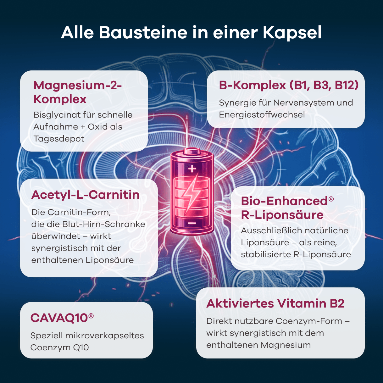 Infografik mit dem Titel Alle Bausteine in einer Kapsel. Vor einem Gehirn mit leuchtender Batterie werden Inhaltsstoffe erläutert: Magnesium-2-Komplex aus Bisglycinat und Oxid, B-Komplex mit B1, B3 und B12 für Nervensystem und Energiestoffwechsel, Acetyl-L-Carnitin zur Überwindung der Blut-Hirn-Schranke, Bio-Enhanced R-Liponsäure, CAVAQ10 als mikroverkapseltes Q10 sowie aktiviertes Vitamin B2.