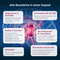 Infografik mit dem Titel Alle Bausteine in einer Kapsel. Vor einem Gehirn mit leuchtender Batterie werden Inhaltsstoffe erläutert: Magnesium-2-Komplex aus Bisglycinat und Oxid, B-Komplex mit B1, B3 und B12 für Nervensystem und Energiestoffwechsel, Acetyl-L-Carnitin zur Überwindung der Blut-Hirn-Schranke, Bio-Enhanced R-Liponsäure, CAVAQ10 als mikroverkapseltes Q10 sowie aktiviertes Vitamin B2.