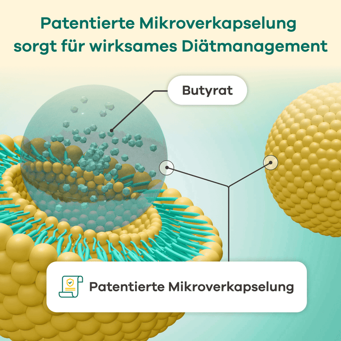 butyzol® - Ausgleich bei Darmentzündungen